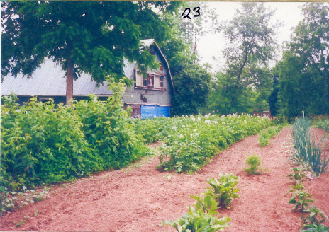 Robertson Family, Cedar Springs Road
