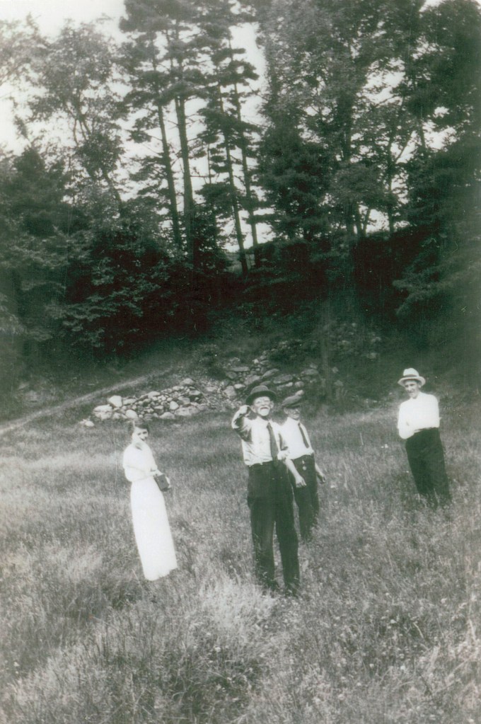 Pickett Sawmill Remains